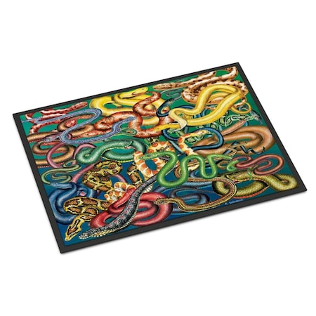 Jensendistributionservices 18 x 27 in. Snakes Indoor or Outdoor Mat MI2553241